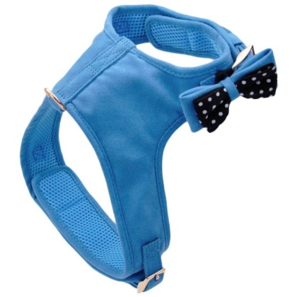 Coastal Pet Accent Microfiber Dog Harness Boho Blue with Polka Dot Bow