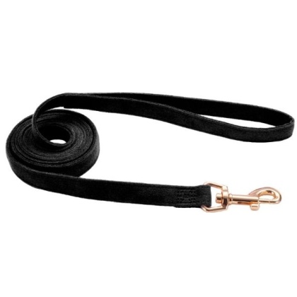 Coastal Pet Accent Microfiber Dog Leash Mod Black 6\'L x 5/8\