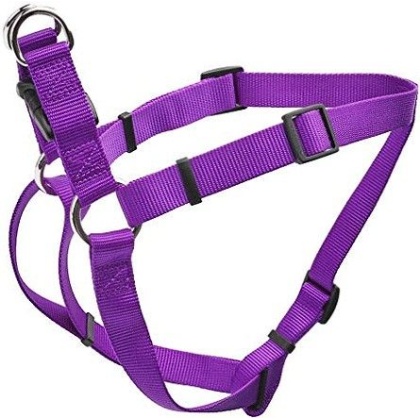 Coastal Pet Comfort Wrap Adjustable Harness Purple