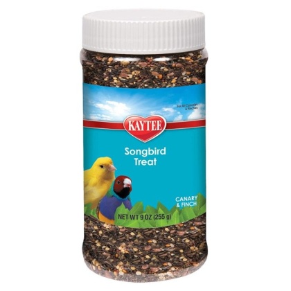 Kaytee Forti-Diet Pro Health Songbird Treat - Canaries