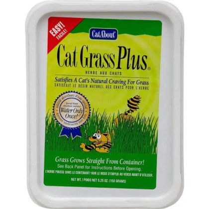 Gimborn Cat-A\'bout Cat Grass Plus Multi-Cat
