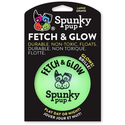Spunky Pup Fetch and Glow Ball Dog Toy Assorted Colors