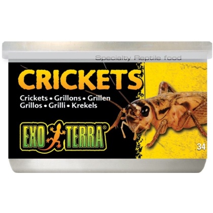 Exo Terra Canned Crickets Specialty Reptile Food