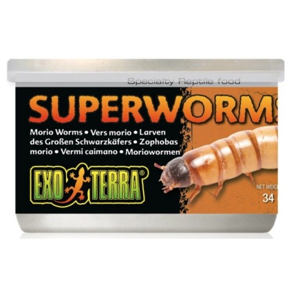 Exo Terra Canned Superworms Specialty Reptile Food