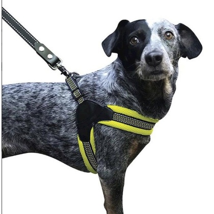 Sporn Easy Fit Dog Harness Yellow