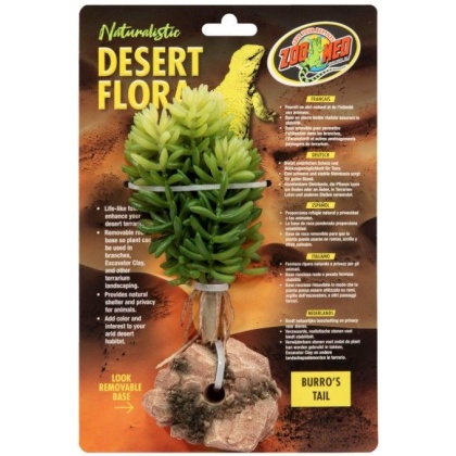 Zoo Med Burros Tail Desert Flora Terrarium Plant